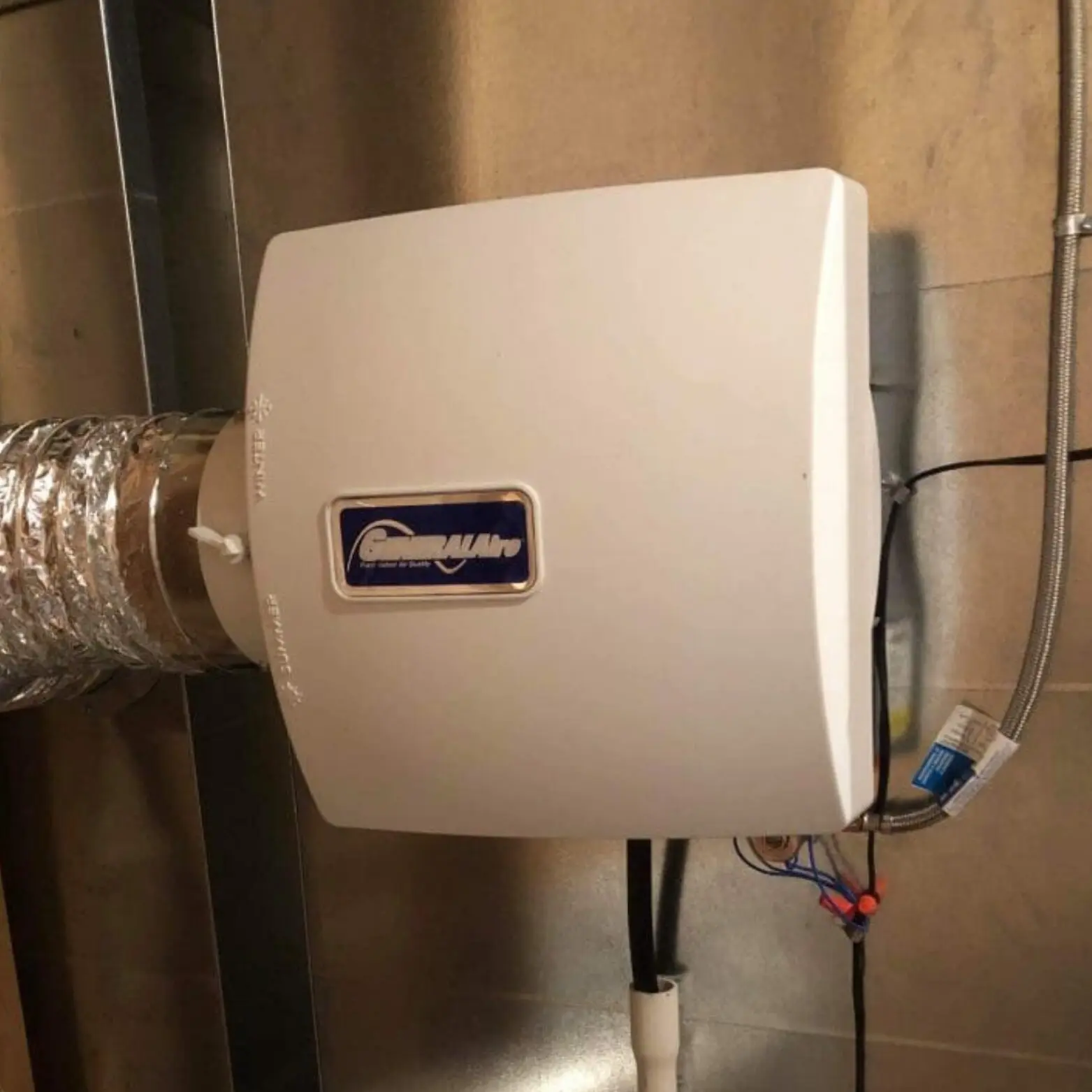 A white Champion water heater installed in a basement corner.